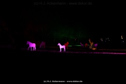 fotografie-152
