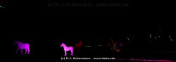 fotografie-100