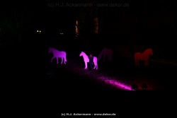 fotografie-147