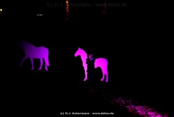 fotografie-103