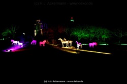 fotografie-28