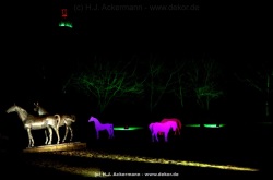 fotografie-170