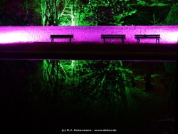 fotografie-1