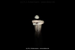 fotografie-45