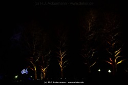 fotografie-64