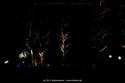 fotografie-63