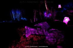 fotografie-24
