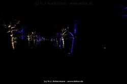 fotografie-34