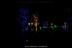 fotografie-115