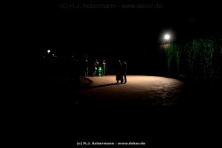 fotografie-143