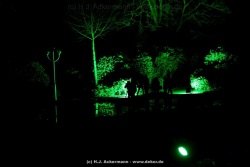 fotografie-25