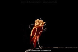 fotografie-112