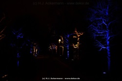 fotografie-54