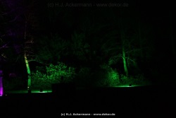 fotografie-133