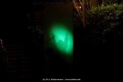 fotografie-53