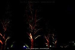 fotografie-158