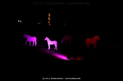 fotografie-75