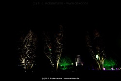 fotografie-15
