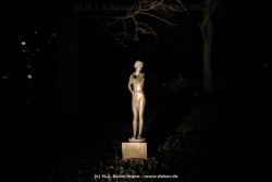 fotografie-19