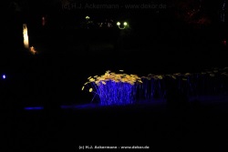 fotografie-27