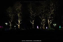 fotografie-29