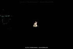 fotografie-104