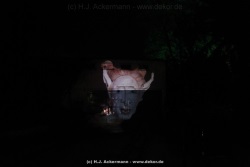 fotografie-131