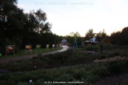 fotografie-144