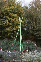 fotografie-14
