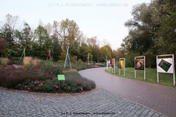 fotografie-107