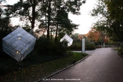 fotografie-158