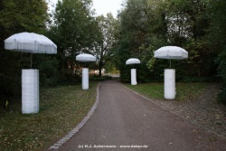 fotografie-100