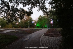 fotografie-176