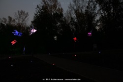 fotografie-120