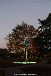 fotografie-101