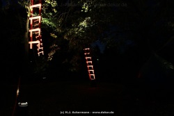 fotografie-11