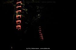 fotografie-38
