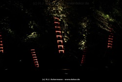 fotografie-180