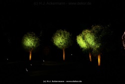 fotografie-48