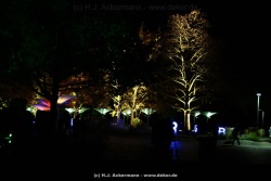 fotografie-32