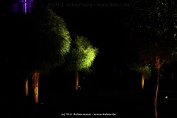 fotografie-27