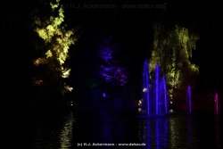fotografie-35
