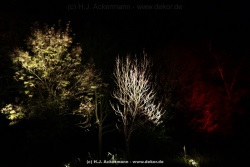 fotografie-22