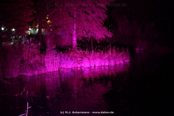fotografie-12