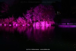 fotografie-37