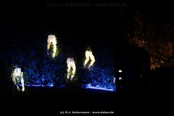 fotografie-116