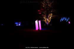 fotografie-111