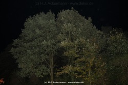 fotografie-45