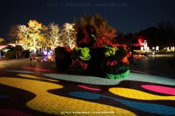 fotografie-30