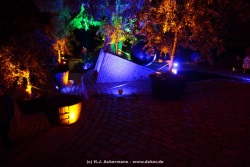 fotografie-15